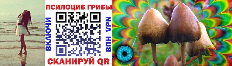 продажа наркотиков  Вязьма  Псилоцибиновые грибы Psilocybine cubensis 