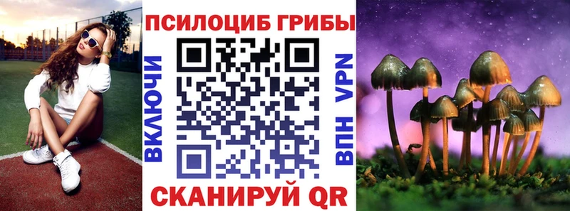 Галлюциногенные грибы Cubensis Вязьма